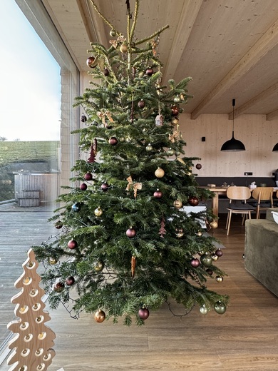 Christmas Tree Chalet.JPG