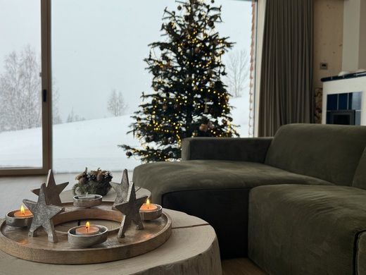 White Christmas in Bledule.JPG